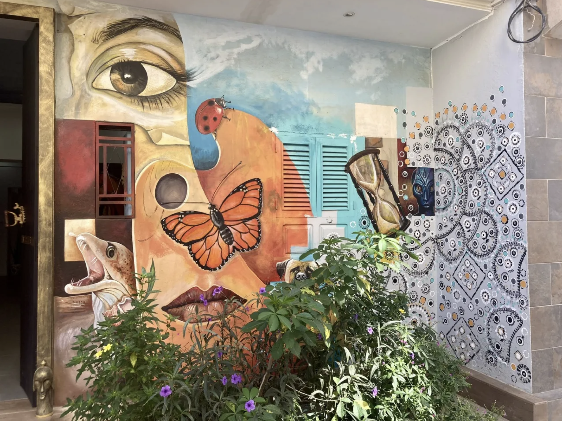 Rua de arte - Terra Branca, Praia