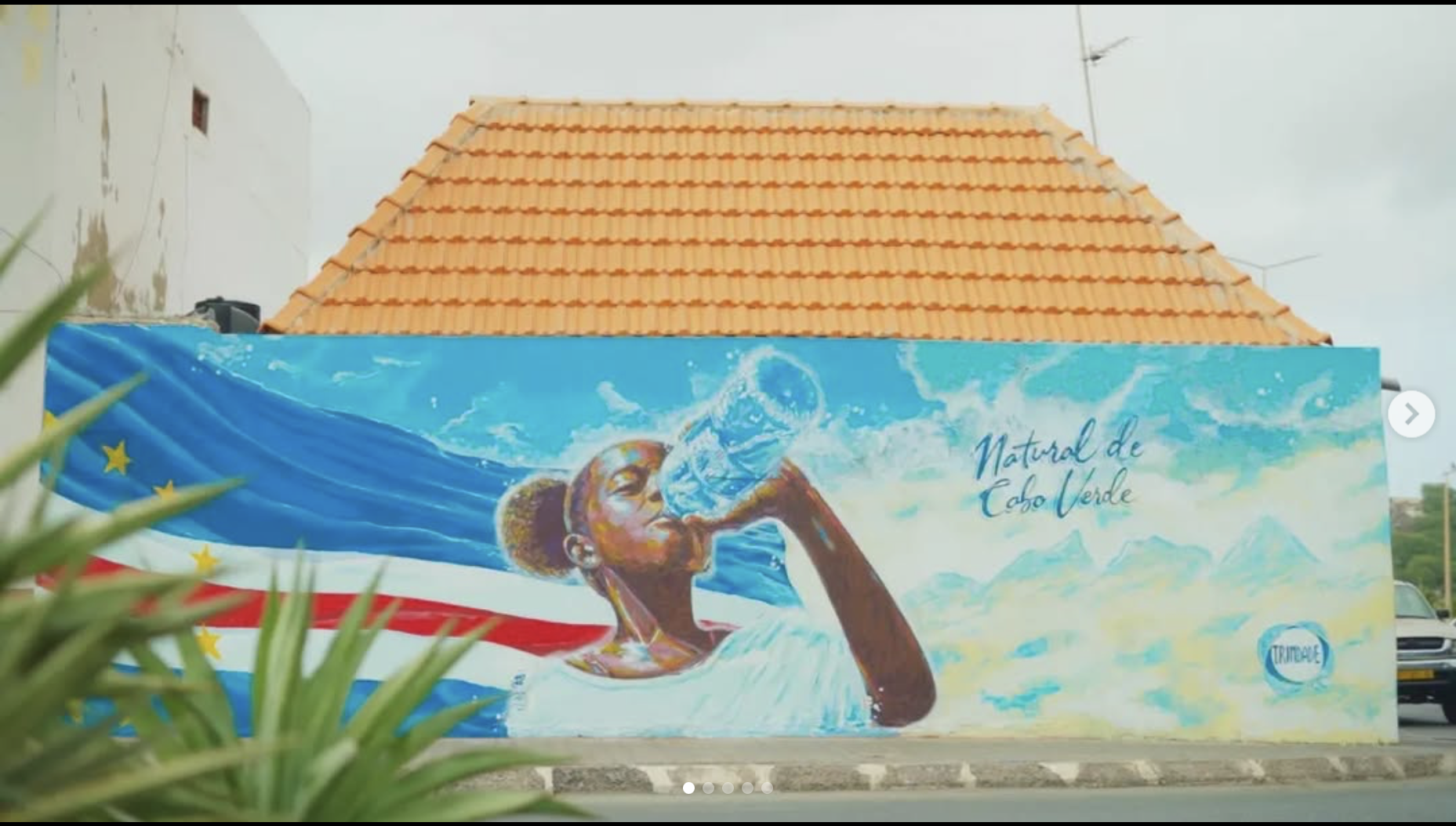 Mural comemoração 22 anos agua trindade